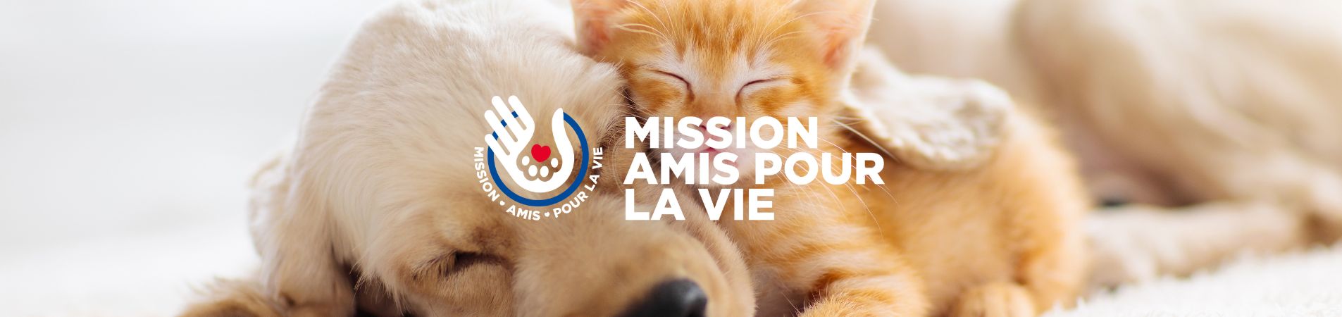 Un chat et un chien qui dorment ensemble avec le logo mission amis pour la vie