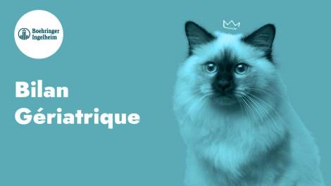 VOTRE CHAT EST ÂGÉ ?