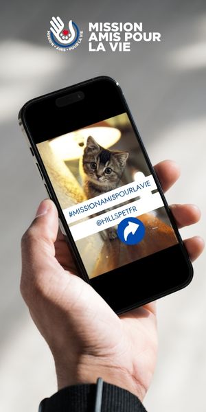 Smartphone avec #missionamispourlavie et @hillspetfr