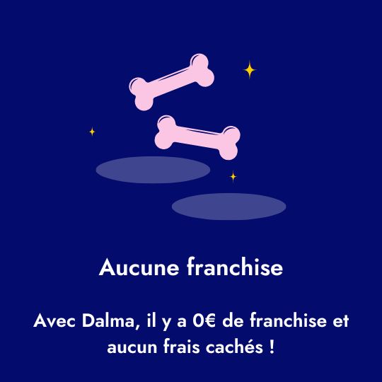 Aucune franchise