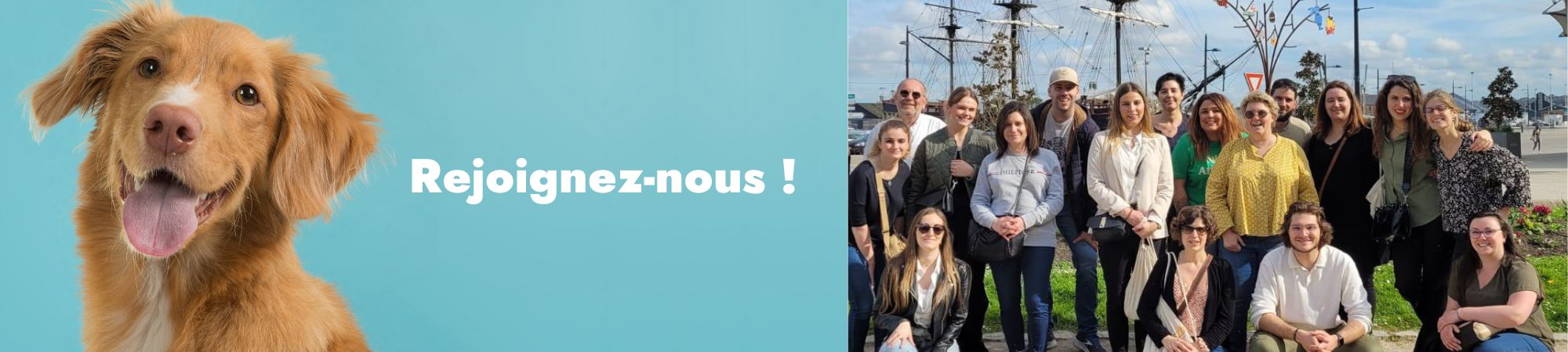 Photo des équipes VetaServices