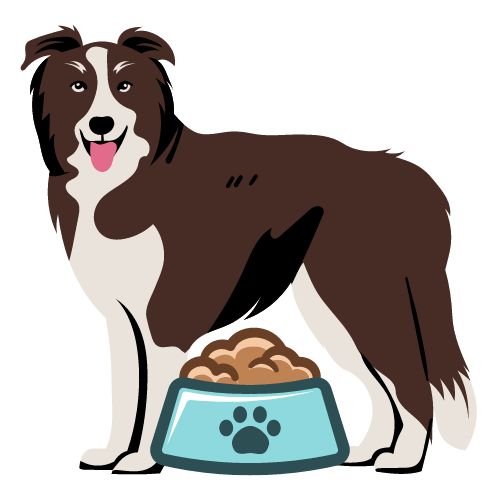 Illustration d'un chien avec une gamelle