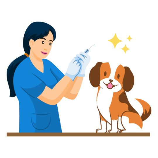Une vétérinaire qui s'apprête à faire un vaccin à un chien