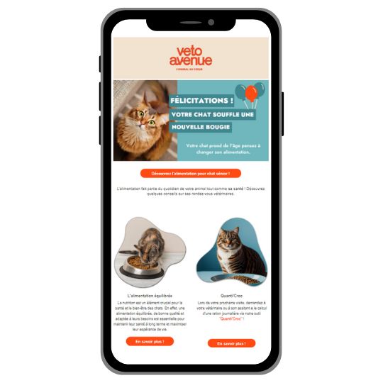 Smartphone avec newsletter VetoAvenue