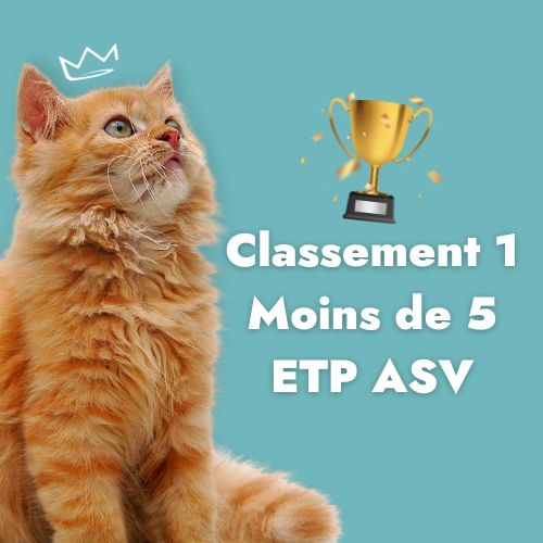 Classement moins de 5 ETP ASV