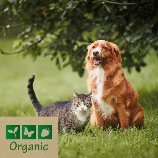 Un chat et un chien avec le logo organic