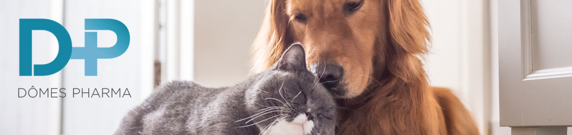 Un chat et un chien avec logo Dômes Pharma