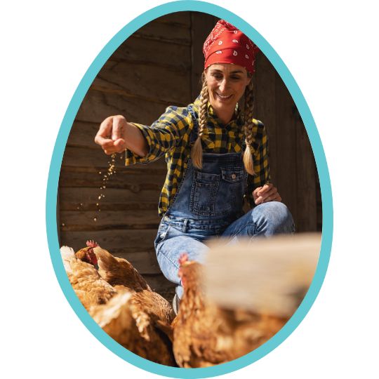 une fermière donne des graines à manger aux poules