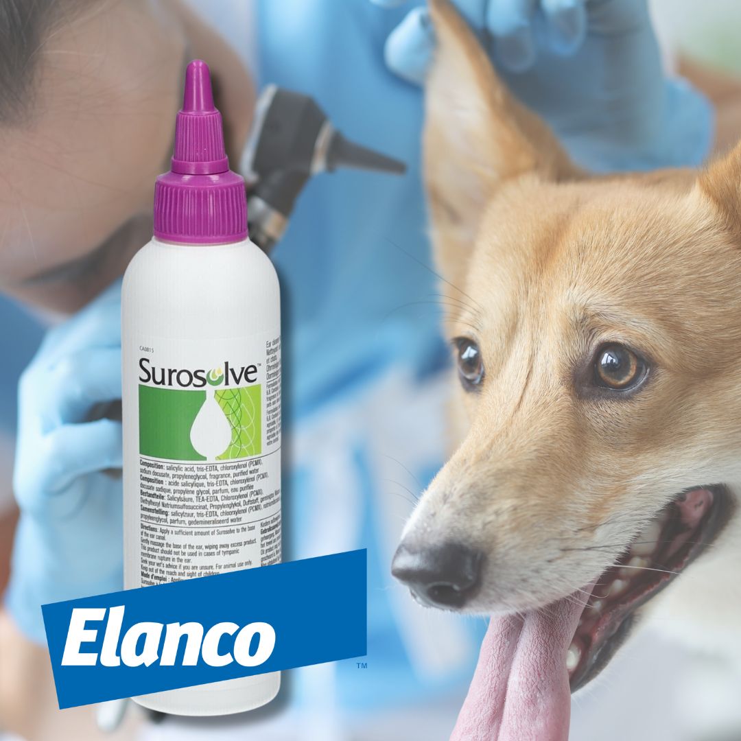 Chien avec produit Surosolve de la marque Elanco