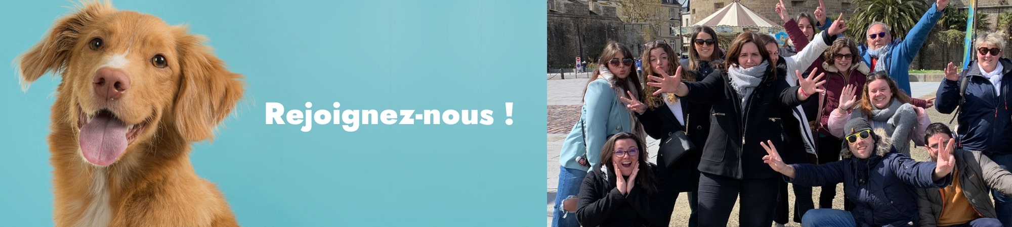 recrutement vetoavenue