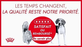 Boites chat Royal Canin Mother & Babycat 