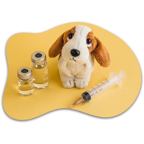 Peluche de chien avec deux flacons et une seringue