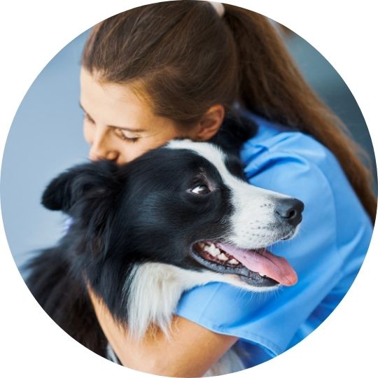 Un chien dans les bras d'une vétérinaire