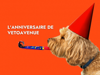 L'anniversaire VetoAvenue