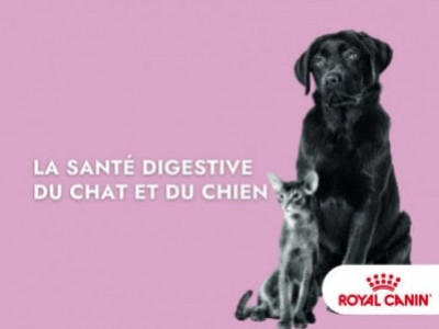 La santé digestive par Royal Canin