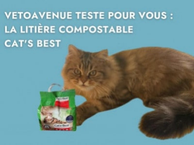 VetoAvenue teste pour vous : La litière compostable Cat's Best 