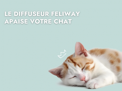 Le diffuseur feliway pour chat