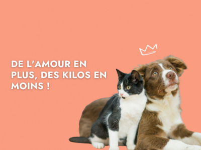 De l'amour en plus, des kilos en moins !