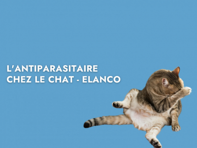 L'antiparasitaire chez le chat - Elanco