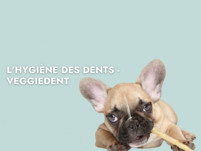 L'Hygiène des dents - Veggiedent