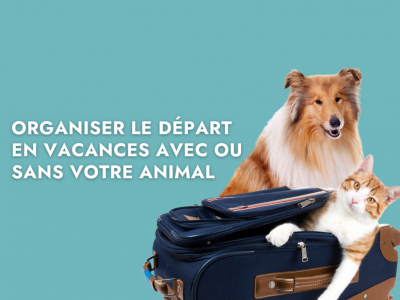 Organiser le départ en vacances avec ou sans votre animal
